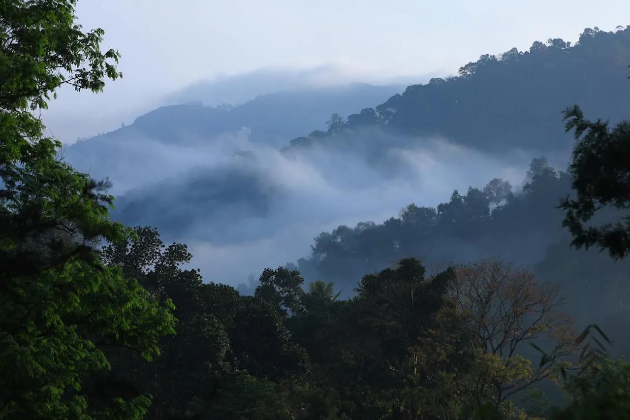 Broad Bean Resort & Spa Munnar
